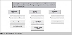 Project Strategy Components